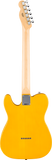 Fender Standard Telecaster® Maple Fingerboard Butterscotch Blonde