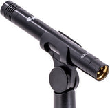 CAD Audio GXL800