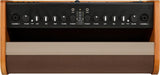 Fender Acoustic 100