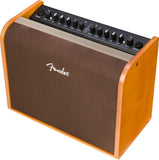 Fender Acoustic 100