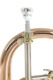 Roy Benson FH-302G Bb Flugelhorn