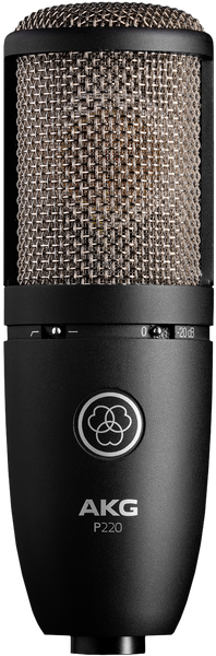 AKG P220 ショックマウント付き ケースなし 外箱なし AKG P220 – The Brantford Music Centre
