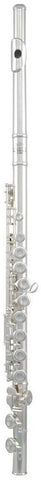 Roy Benson FL-402E Flute