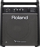 Roland PM-100 Personal Monitor