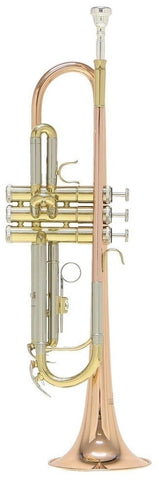 Roy Benson TR-202G Bb Trumpet