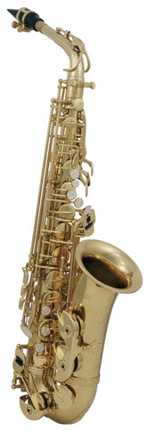 Roy Benson AS-202 Eb Alto Saxophone