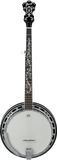 Ibanez B300 Banjo