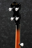 Ibanez B300 Banjo