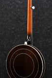 Ibanez B300 Banjo