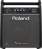 Roland PM-100 Personal Monitor